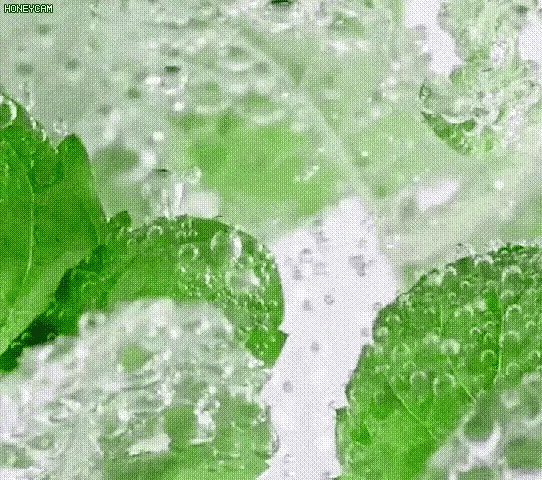 SP-4 Probiotic Whitening Toothpaste, Teeth Whitening Toothpaste